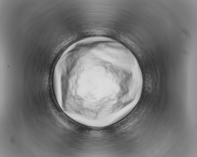 X0000110910394200907091441