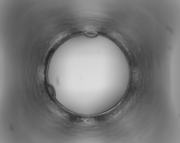 X0000110910395200907091441