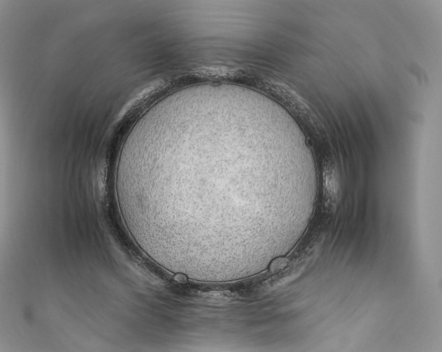 X0000110910396200907091441