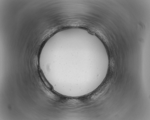 X0000110910397200907091441