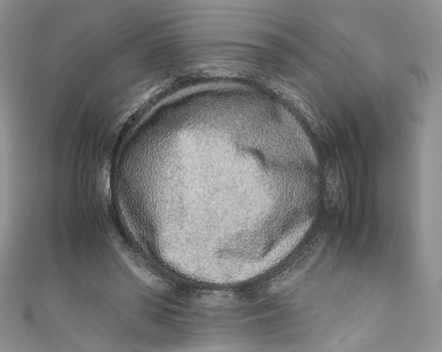 X0000110910398200907091441