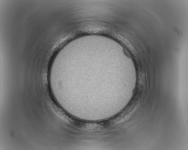 X0000110910399200907091441