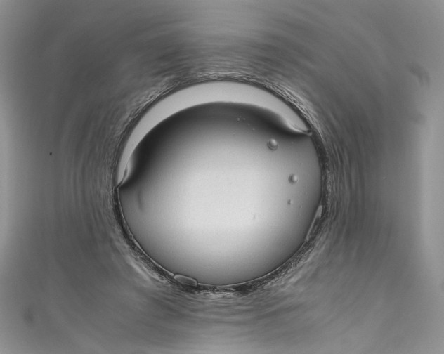 X0000110910401200907091441