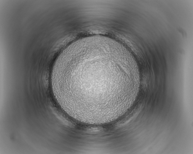 X0000110910402200907091441