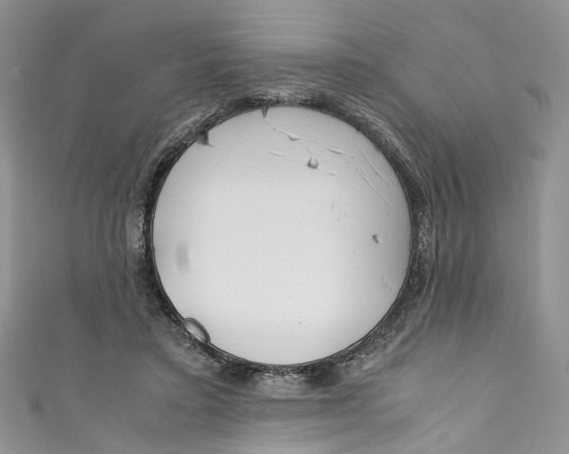 X0000110910403200907091441