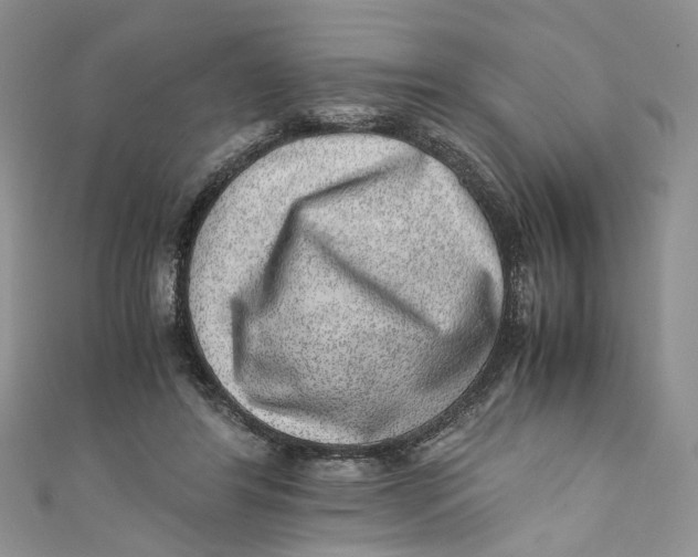 X0000110910404200907091441