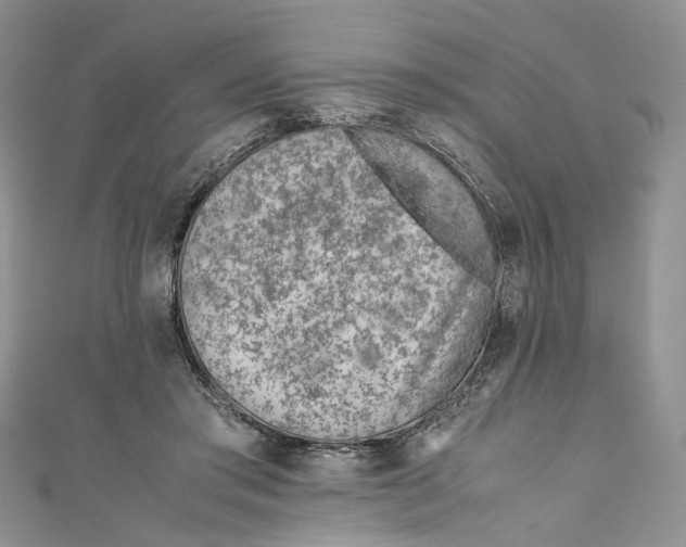 X0000110910405200907091441