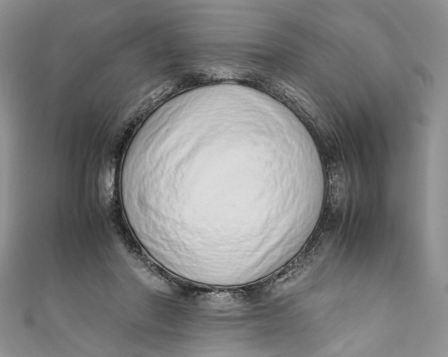 X0000110910406200907091441