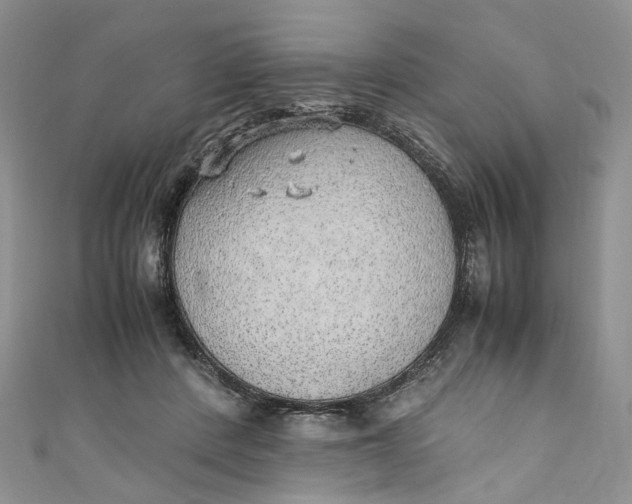 X0000110910408200907091441