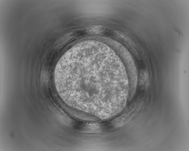 X0000110910409200907091441