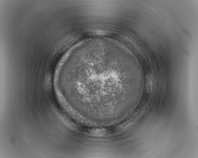 X0000110910410200907091441