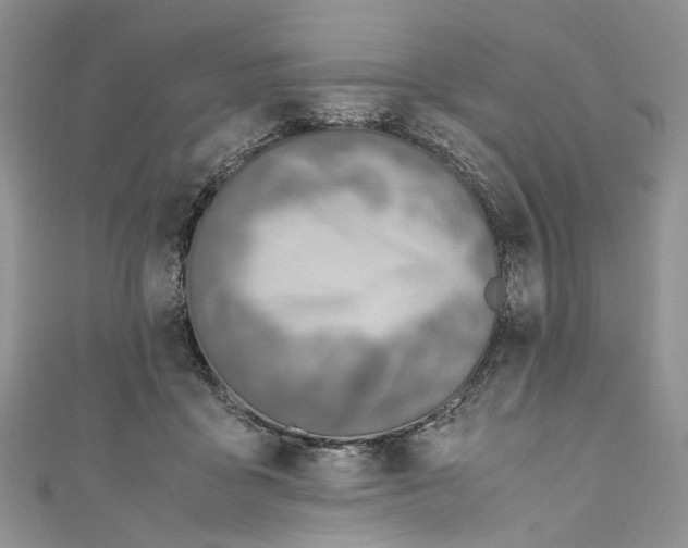 X0000110910411200907091441