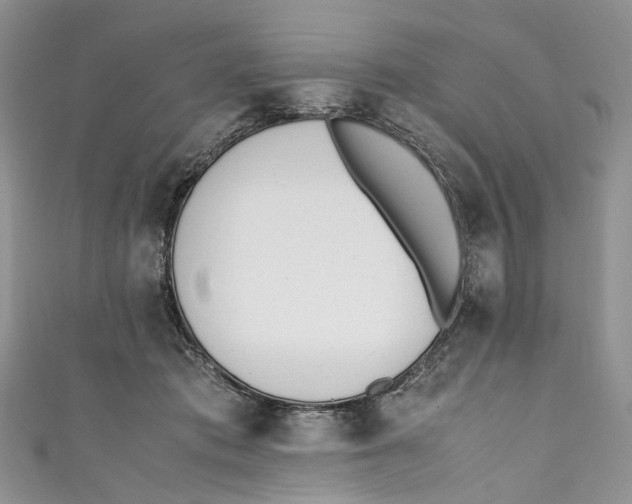 X0000110910413200907091441