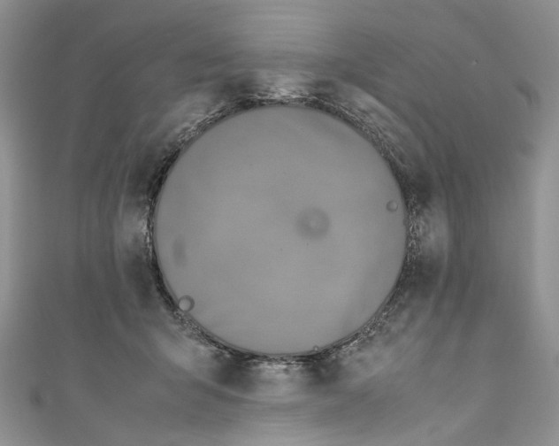 X0000110910415200907091440