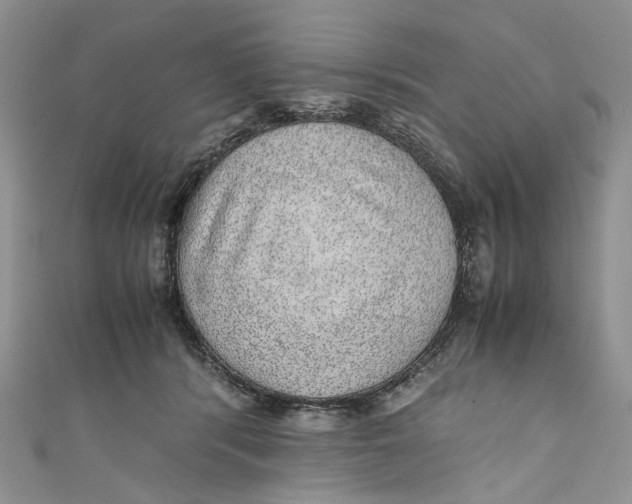 X0000110910416200907091440