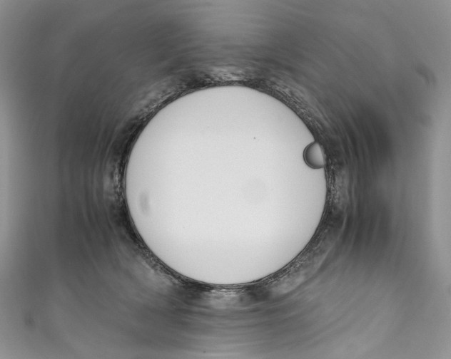 X0000110910418200907091440