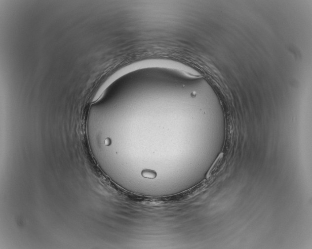 X0000110910419200907091440