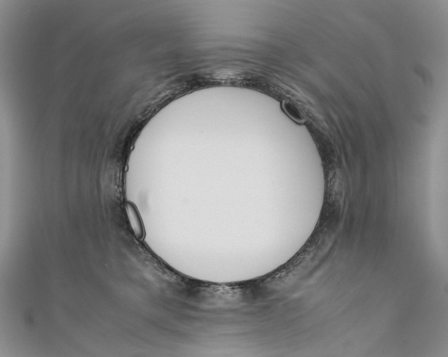 X0000110910421200907091440