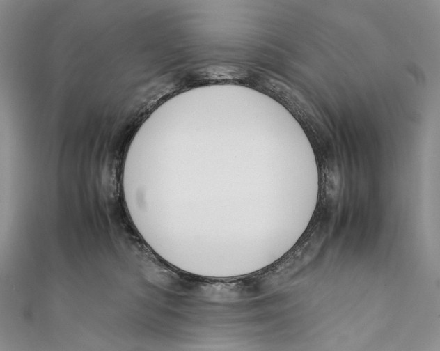 X0000110910422200907091440