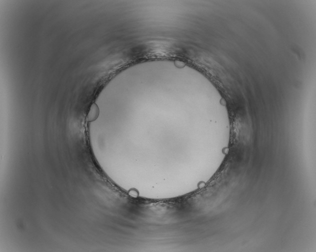 X0000110910423200907091440