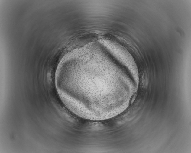 X0000110910424200907091440