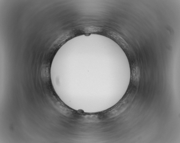 X0000110910426200907091440