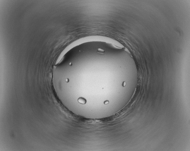 X0000110910427200907091440