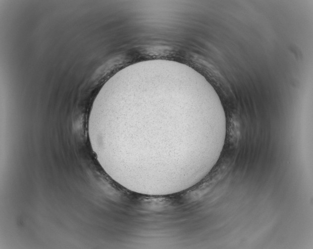 X0000110910428200907091440