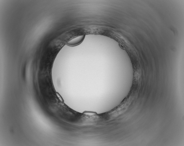 X0000110910429200907091440