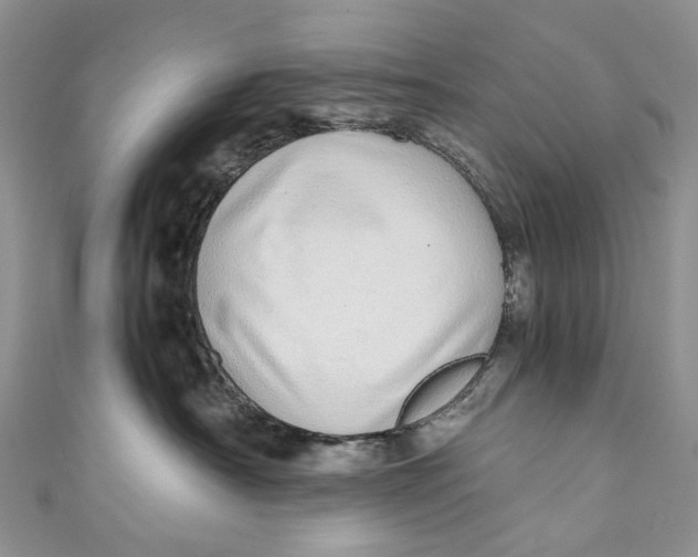 X0000110910430200907091440