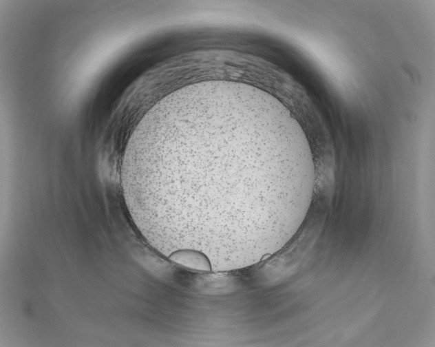 X0000110910431200907091440