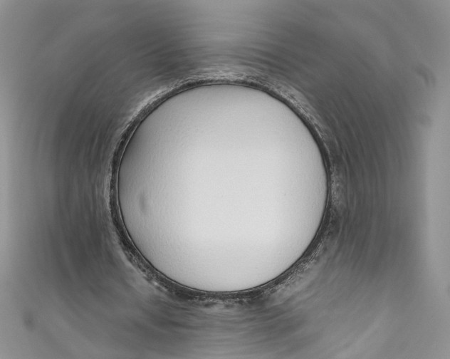 X0000110910434200907091440