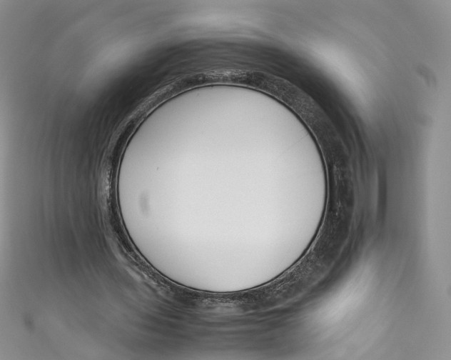 X0000110910435200907091440