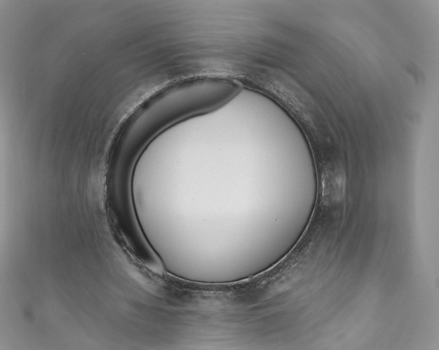 X0000110910436200907091440