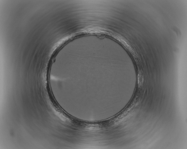 X0000110910438200907091440