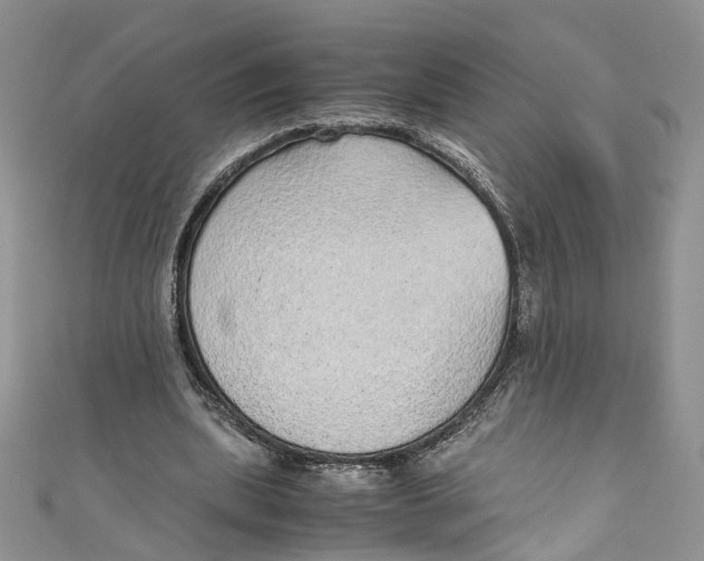 X0000110910439200907091440