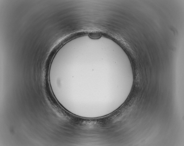 X0000110910440200907091440