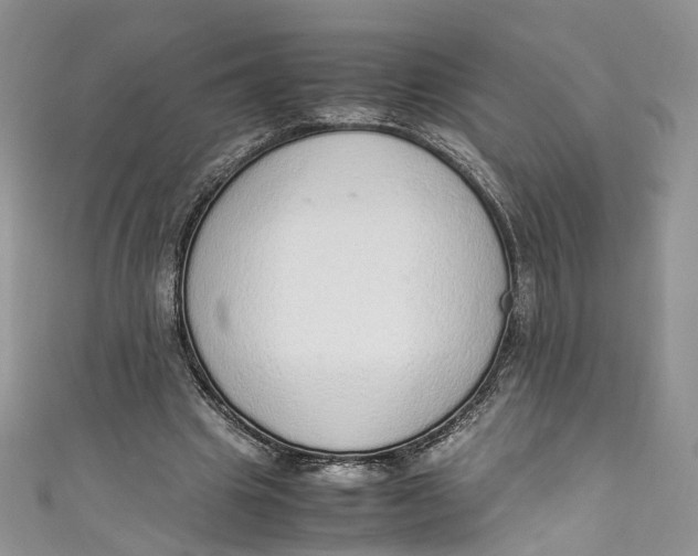 X0000110910441200907091440