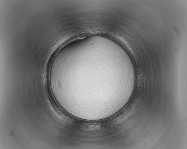 X0000110910443200907091440