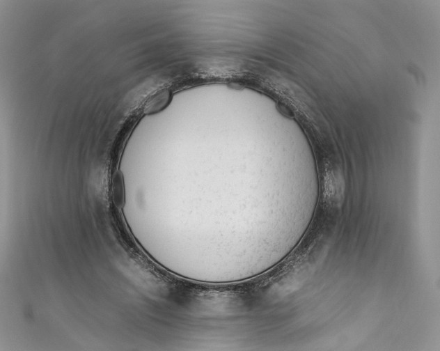 X0000110910444200907091440