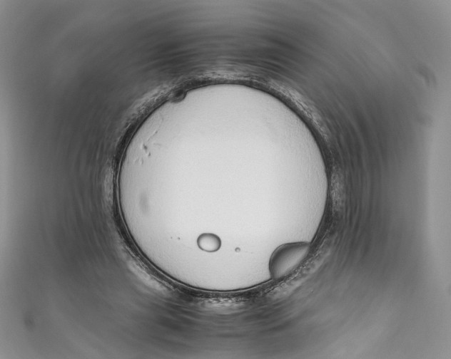 X0000110910445200907091440