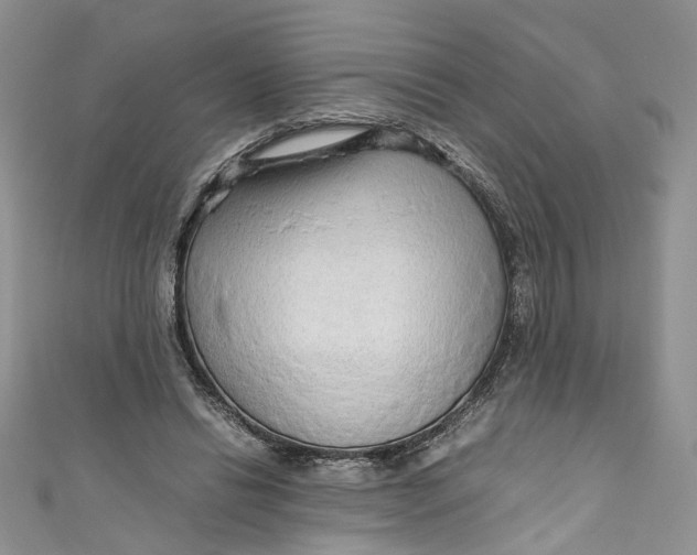 X0000110910446200907091440