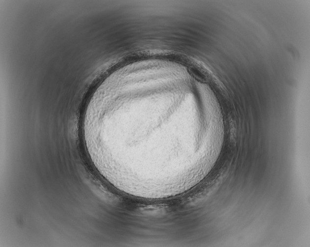 X0000110910447200907091440