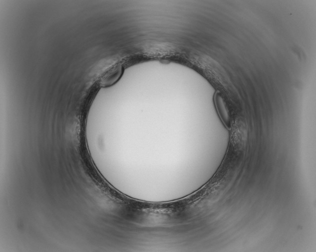 X0000110910448200907091440