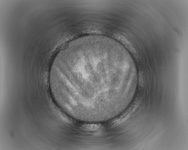 X0000110910449200907091440