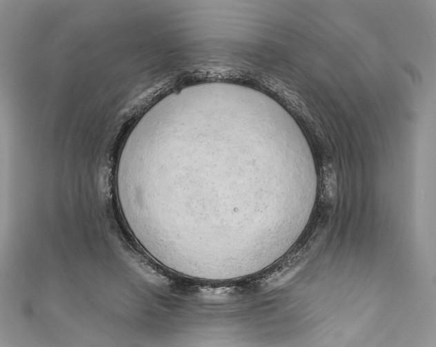 X0000110910450200907091440