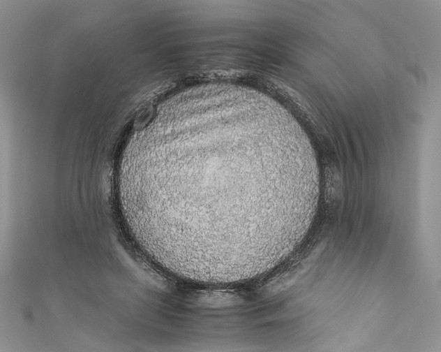 X0000110910451200907091440