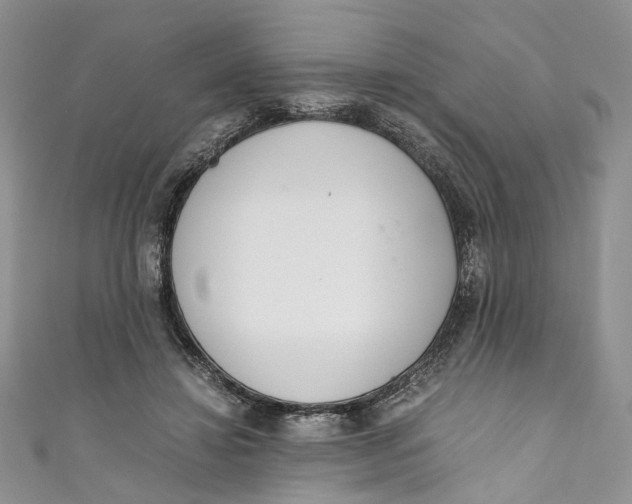 X0000110910452200907091440