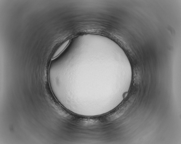 X0000110910453200907091440