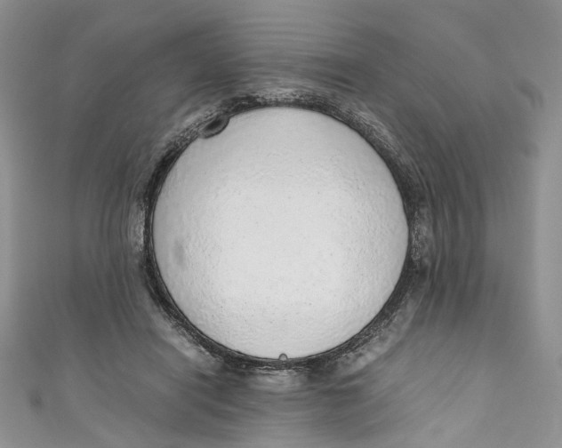 X0000110910454200907091440